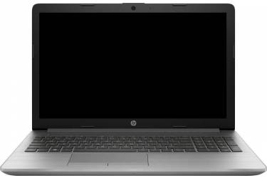 Ноутбук HP 250 G7 Core i5 8265U/8Gb/SSD256Gb/DVD-RW/15.6"/SVA/FHD (1920x1080)/Free DOS 2.0/silver/WiFi/BT/Cam