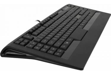 Клавиатура Steelseries APEX черный USB Multimedia Gamer LED