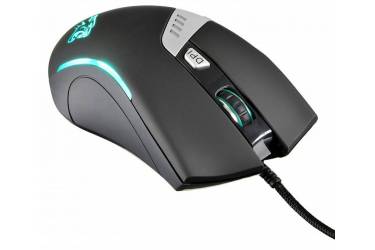 Мышь Oklick 885G Panther черный/серебристый оптическая (4000dpi) USB игровая (5but)