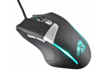 Мышь Oklick 885G Panther черный/серебристый оптическая (4000dpi) USB игровая (5but)