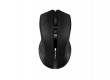 mouse Canyon CNE-CMSW05B, Wireless, Optical, Black