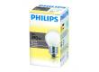 Лампа накаливания PHILIPS P45_60W_FR_E27 шар матовый