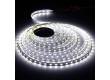 LED лента SMD 5050/60 _FOTON_-IP65-14.4W/CW 5 м. _(FL-Strip 5050-SW 60-   W   х.бел 14.4W/m _IP65)